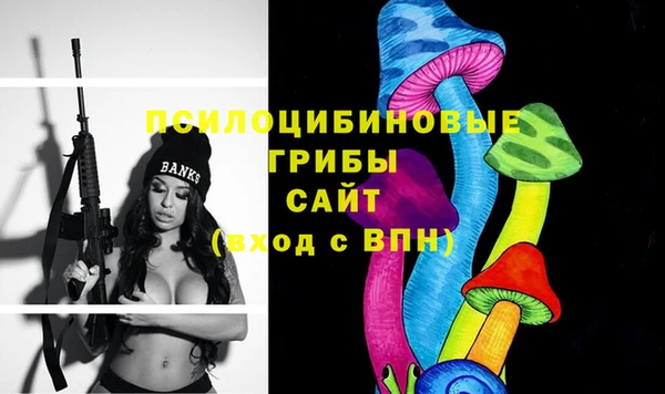 бошки Михайловка