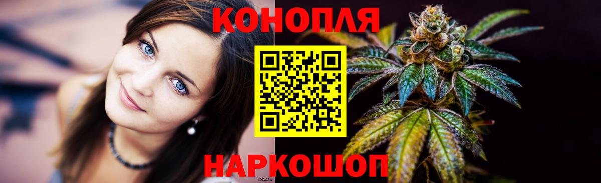 Каннабис сатива  Конопля White Widow  Дмитров 