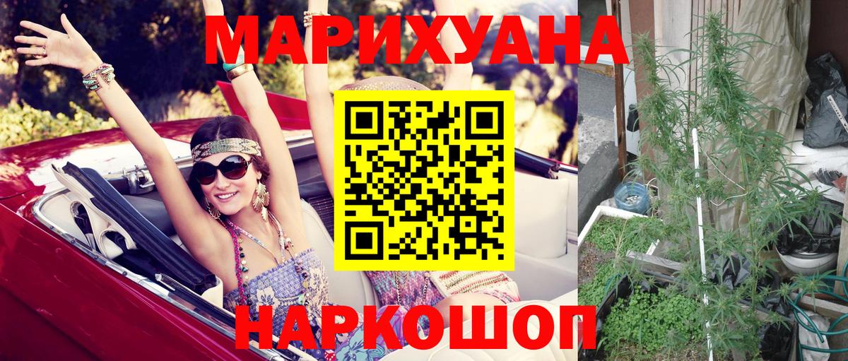 Бошки марихуана OG Kush  Вход с VPN  Дмитров  Канабис VHQ 